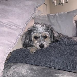 Meet your Posher, Hanane